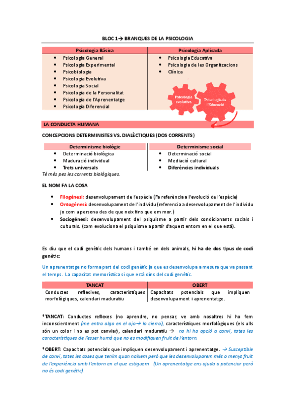 Miniatura del documento Teoria-BLOC-1Branques-de-la-psicologia-Desenvolupament-de-la-personalitat.pdf