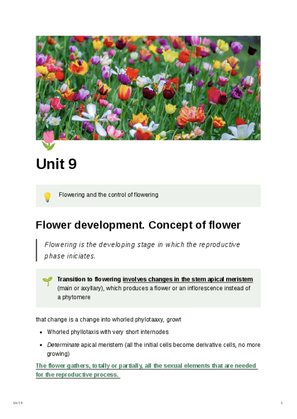 Miniatura del documento Unit-9.pdf