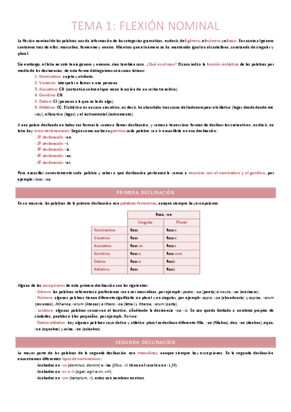 Miniatura del documento LATIN-TEMA-1-DECLINACIONES.pdf