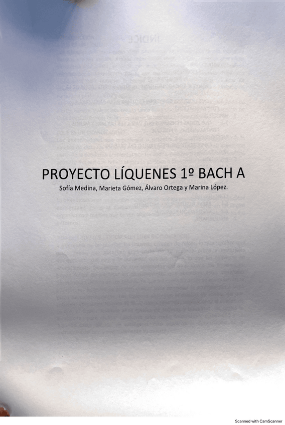 Miniatura del documento Estudio-sobre-la-contaminacion-de-Churri.pdf