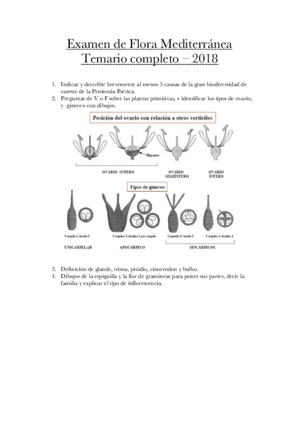 Miniatura del documento Examen de Flora Mediterránea  Temario completo.pdf
