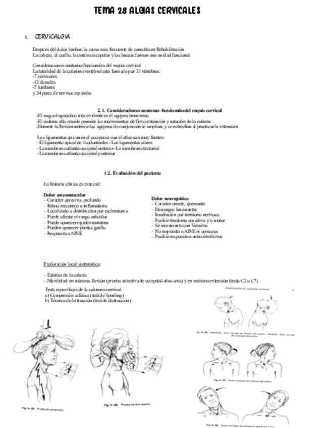Miniatura del documento Tema-28-Texto.pdf