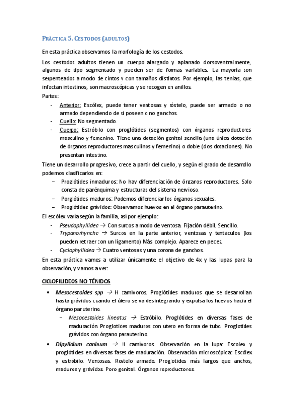 Miniatura del documento Práctica 5.pdf