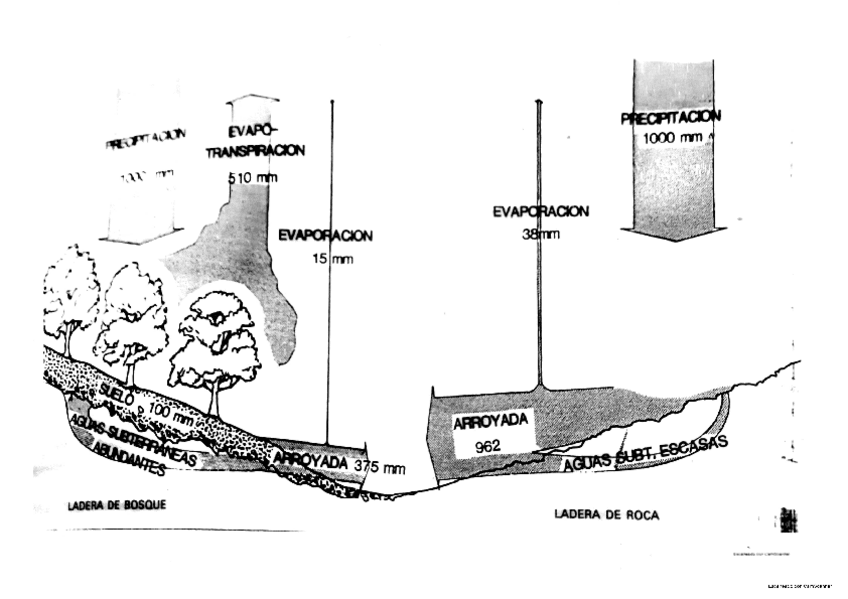Miniatura del documento Tema-3.2.pdf