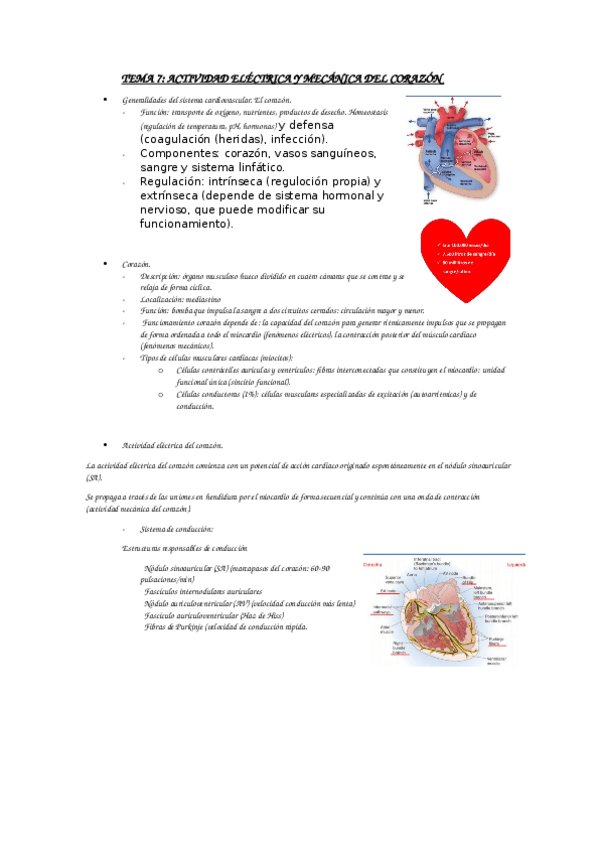 Miniatura del documento fisiologia-II.docx