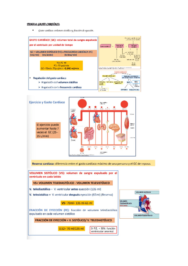Miniatura del documento fisiologia-II.docx