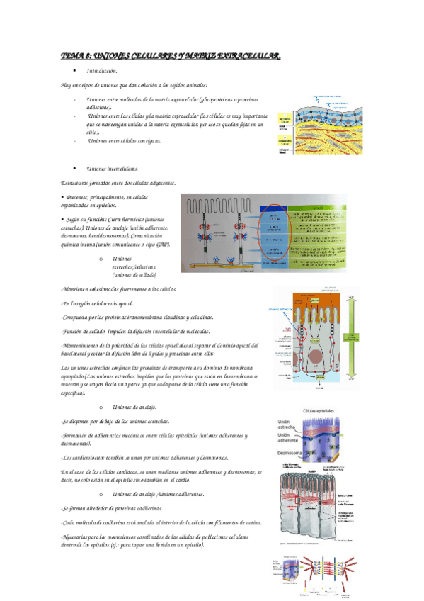 Miniatura del documento BIOLOGIA-TISULAR.docx