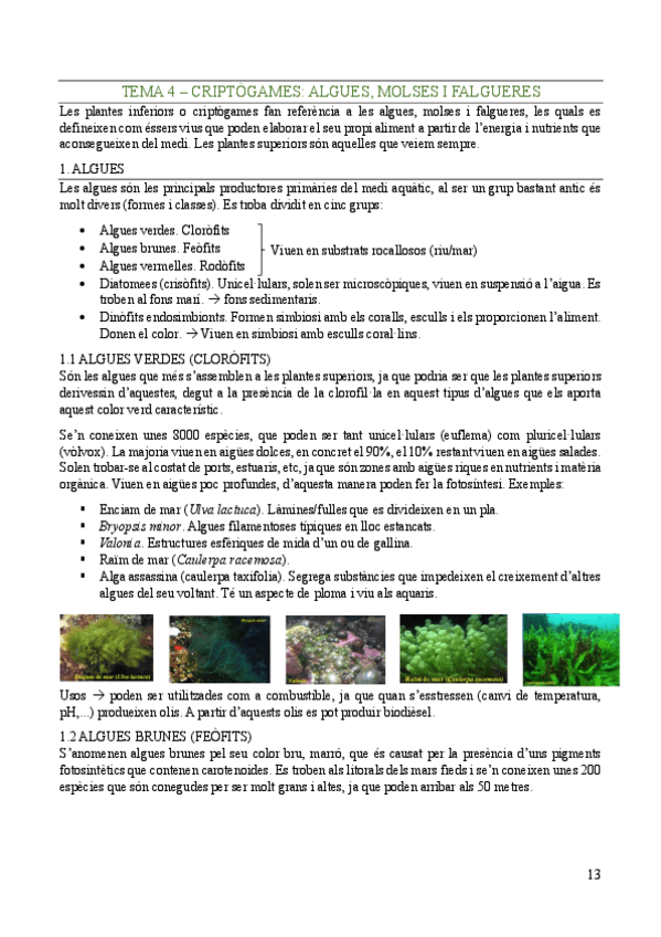 Miniatura del documento Biologia-Vegetal-Tema-4.pdf