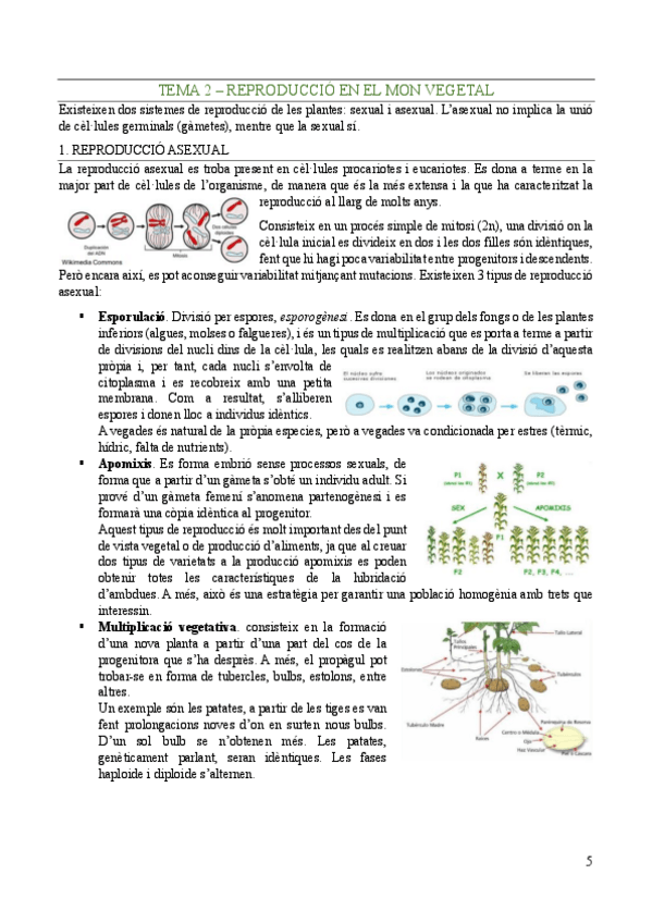 Miniatura del documento Biologia-Vegetal-Tema-2.pdf
