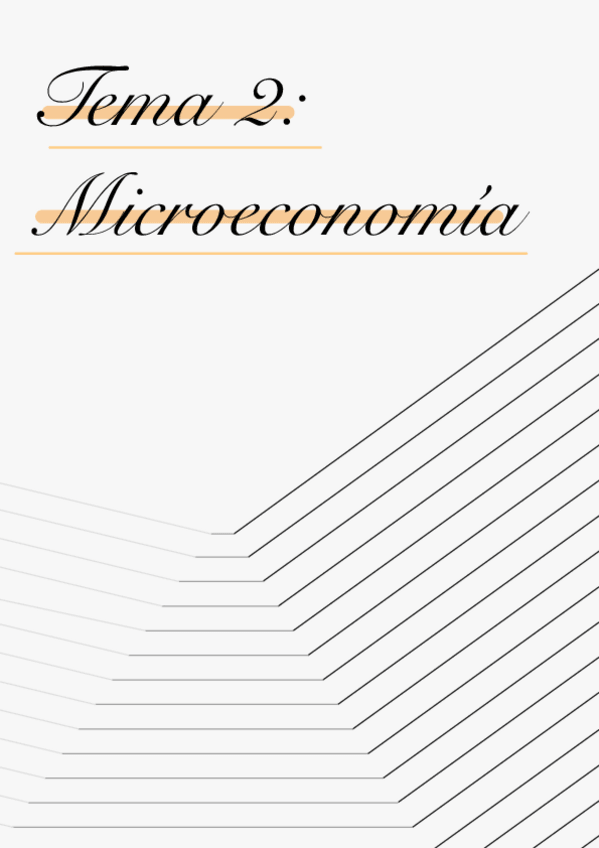Miniatura del documento TEMA-2-Elasticidades-MICROECONOMIA.pdf