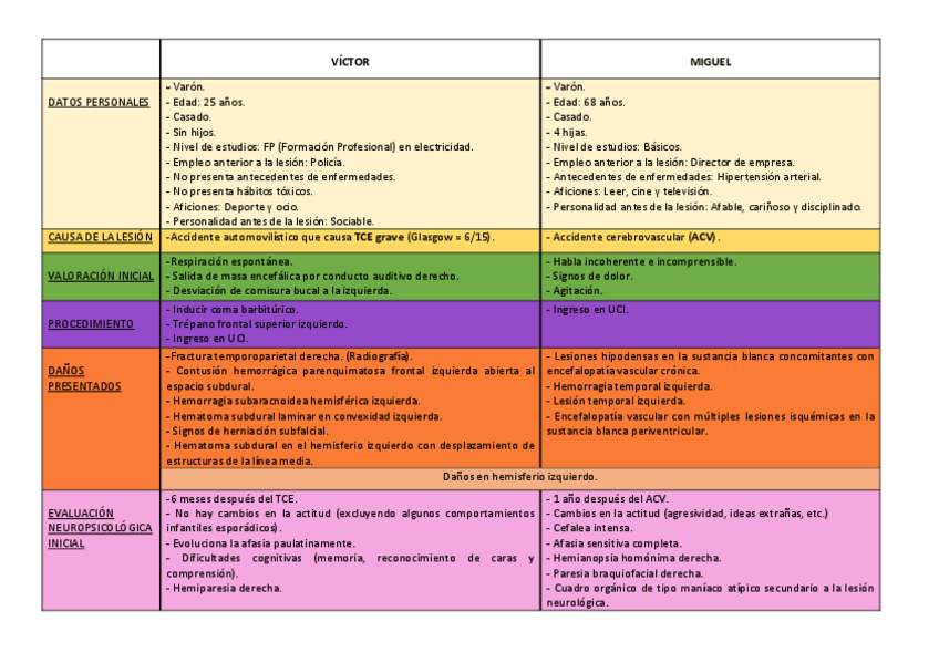 Miniatura del documento PRACTICA 4 Afasia Broca y Wernicke..pdf