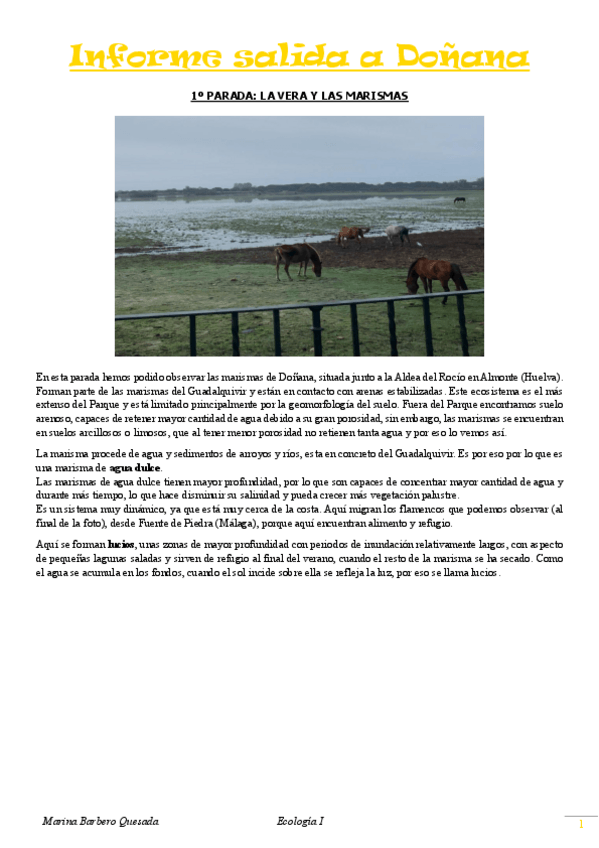 Miniatura del documento Informe-salida-a-Donana.pdf