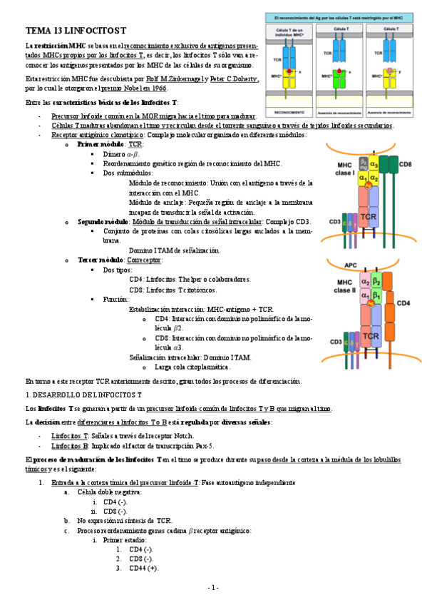 Miniatura del documento INMUNOLOGIA-TEMA-13-LINFOCITOS-T.pdf