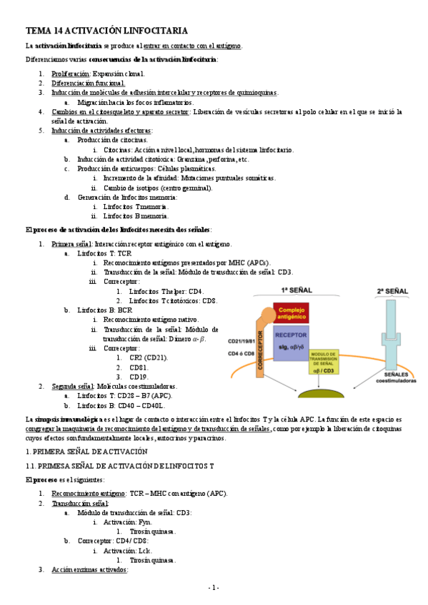 Miniatura del documento INMUNOLOGIA-TEMA-14-ACTIVACION-LINFOCITARIA.pdf