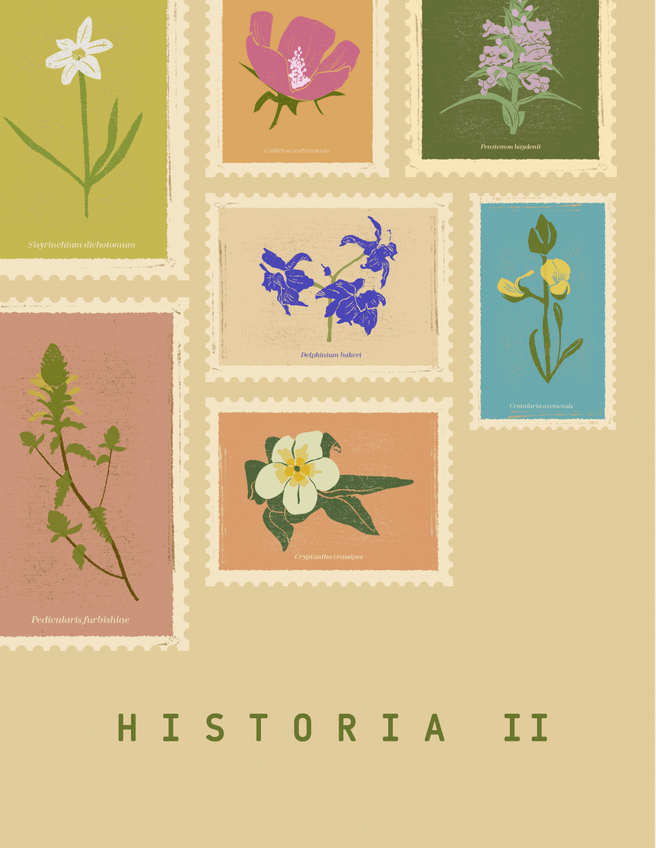 Miniatura del documento Portada-para-Apuntes.png