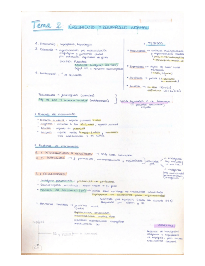 Miniatura del documento primer-parcial-infancia-resumenes.pdf