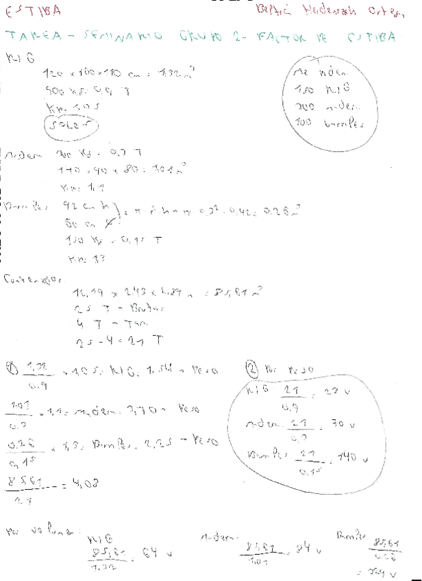 Miniatura del documento Factor-de-Estiba-Seminario-23-24-Grupo-2.pdf