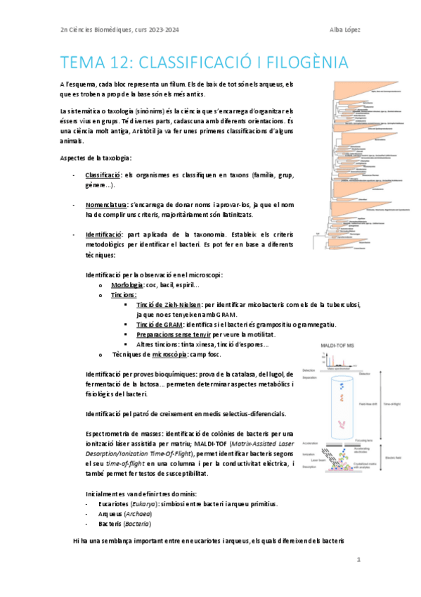 Miniatura del documento Tema-12.-Classificacio-i-filogenia.pdf