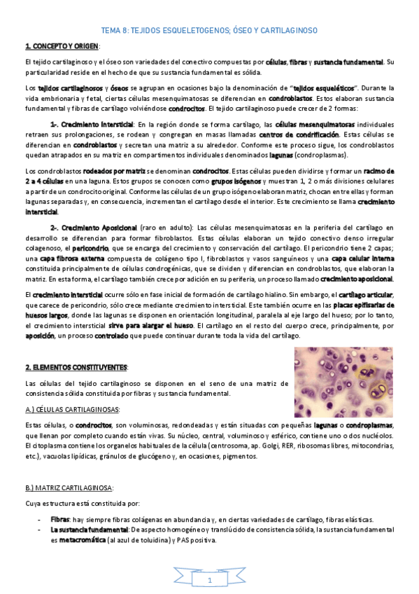 Miniatura del documento TEMA-8TejidoOseoCartilaginoso.pdf