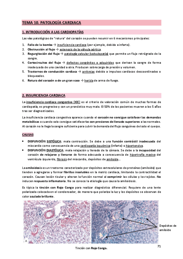 Miniatura del documento 10. Patología Cardiaca.pdf