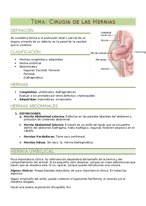 Miniatura del documento apuntes vilar (3).docx