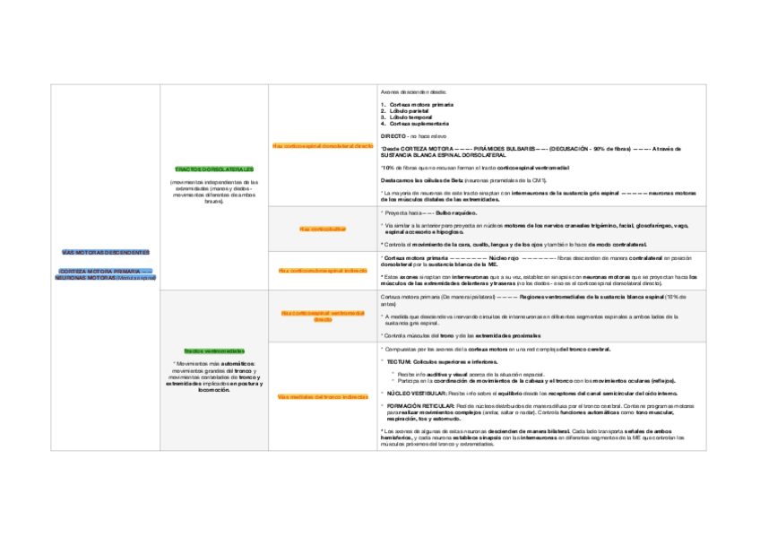 Miniatura del documento Esquema-vias-motoras-descendentes-tema5.pdf