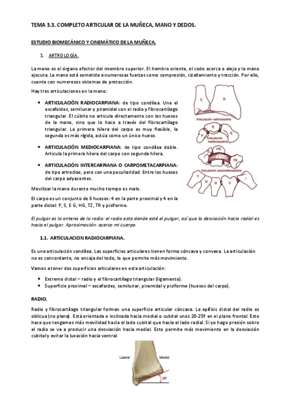 Miniatura del documento Tema-3.3.pdf