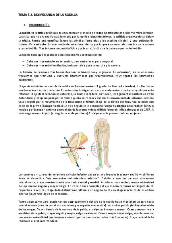 Miniatura del documento Tema-5.2.pdf