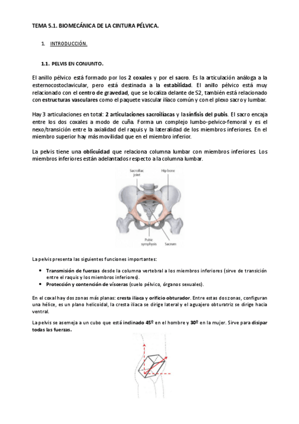 Miniatura del documento Tema-5.1.pdf