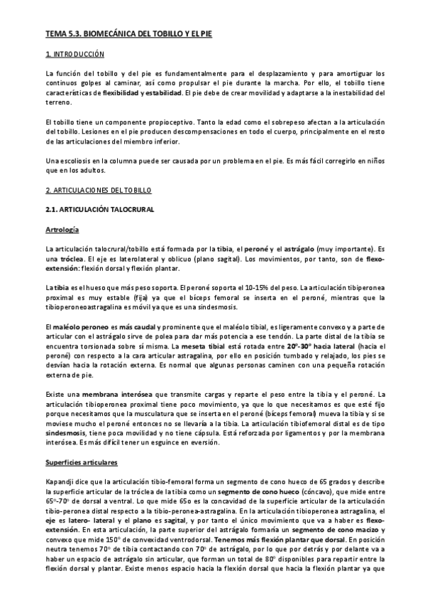 Miniatura del documento TEMA-5.3.pdf