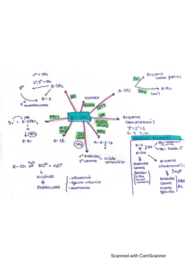 Miniatura del documento Esquemas-reacciones.pdf