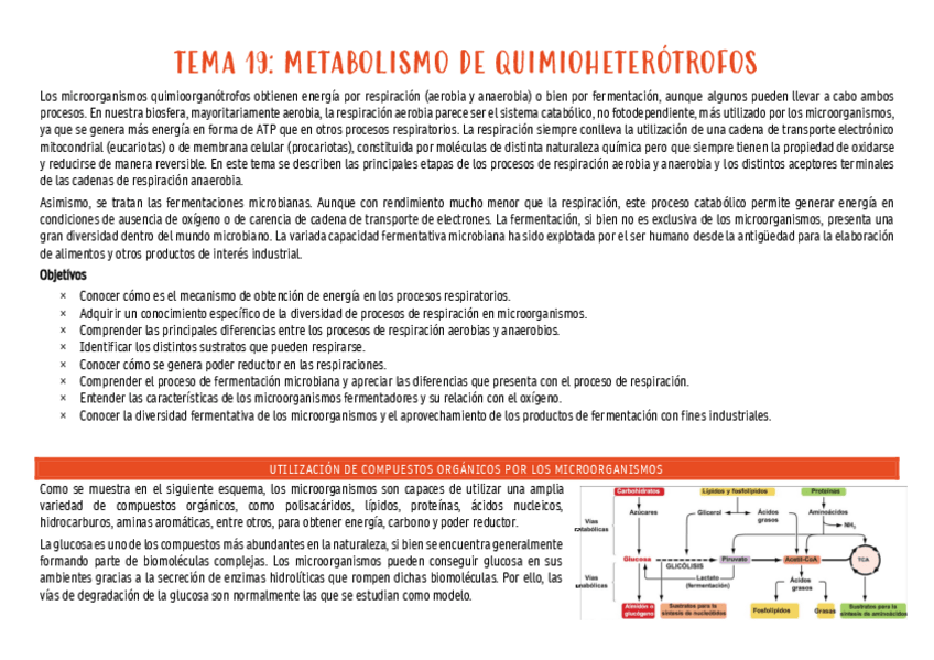 Miniatura del documento micro-tema-19.pdf