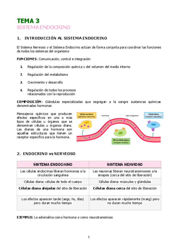 Miniatura del documento TEMA-3-APUNTES-BIO.pdf