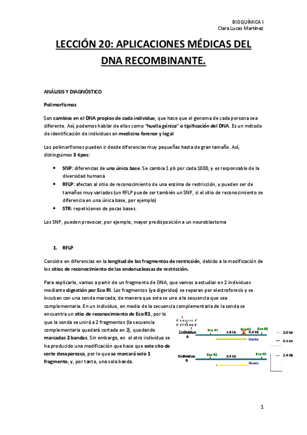 Miniatura del documento LECCION-20.-Aplicaciones-del-DNA-recombinante.pdf