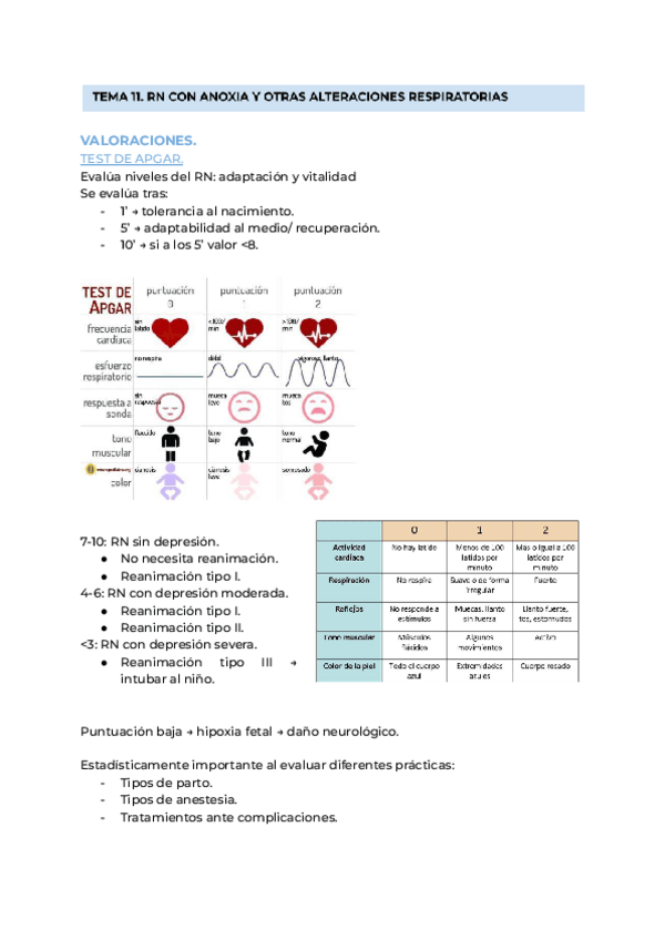 Miniatura del documento TEMA-11.-RN-CON-ANOXIA-Y-OTRAS-ALT.-RESPIRATORIAS.pdf