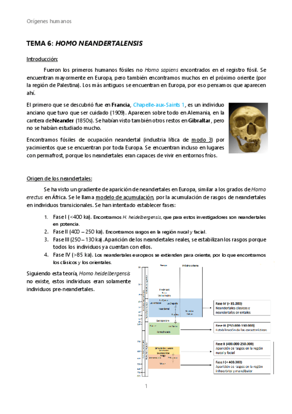 Miniatura del documento OH-Tema-6-Neandertales.pdf