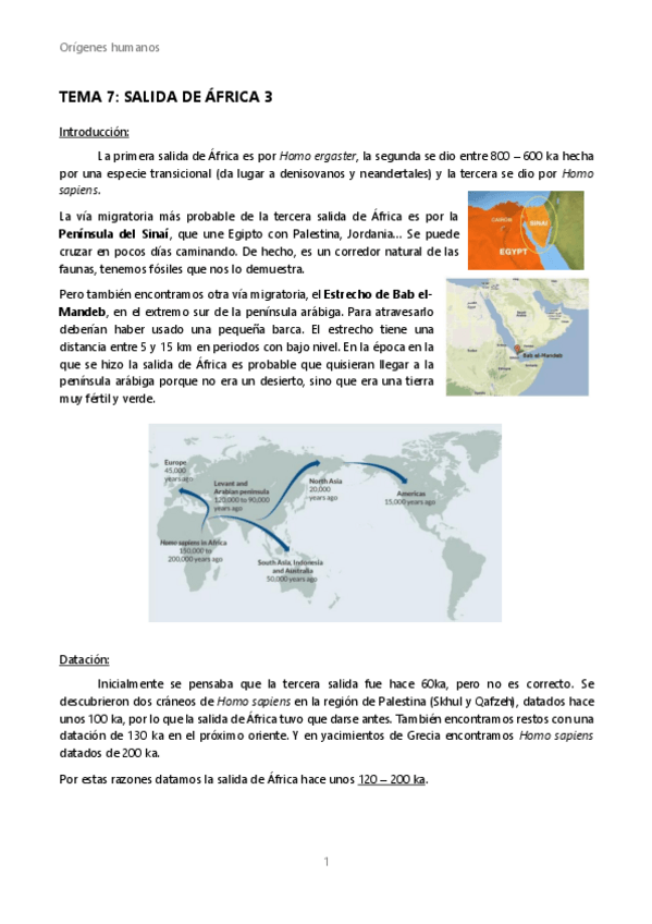 Miniatura del documento OH-Tema-7-Salida-de-Africa-3.pdf