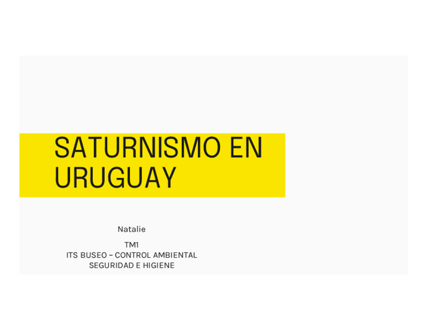Miniatura del documento SATURNISMO-EN-URUGUAY-SEGURIDAD-E-HIGIENE.pdf