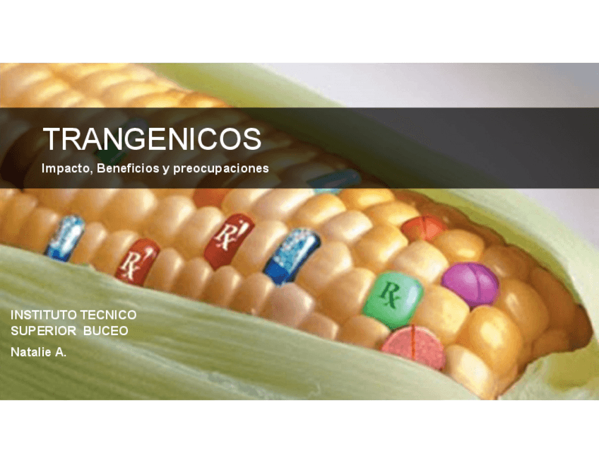 Miniatura del documento PRESENTACION-TRANSGENICOS-SISTEMAS-AMBIENTALES.pdf