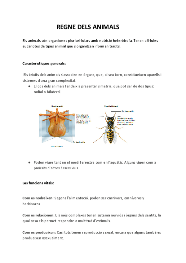 Miniatura del documento Regne-dels-animals.pdf