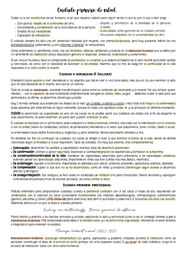 Miniatura del documento Cuidado-primario.pdf