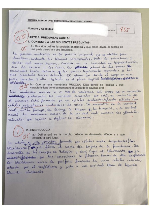 Miniatura del documento PRIMER PARCIAL 2023.pdf