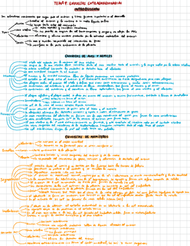 Miniatura del documento Esquemas-tema-9.pdf