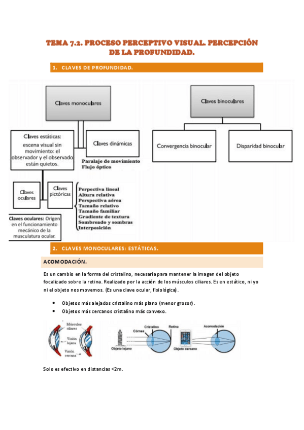 Miniatura del documento TEMA-7.2.-apuntes-PROCESO-PERCEPTIVO-VISUAL.pdf