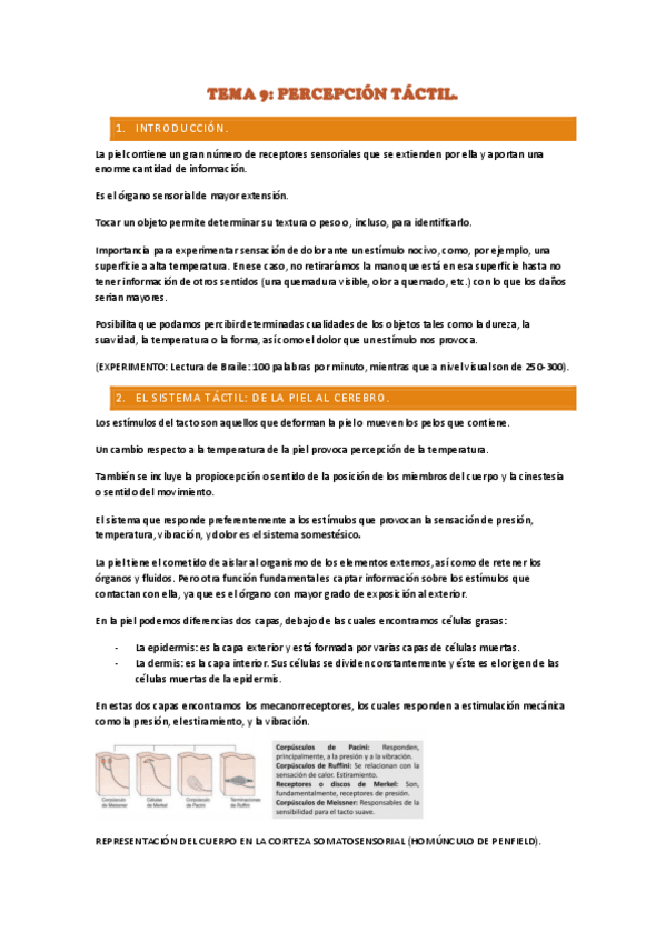 Miniatura del documento TEMA-9.-apuntes-PERCEPCION-TACTIL.pdf