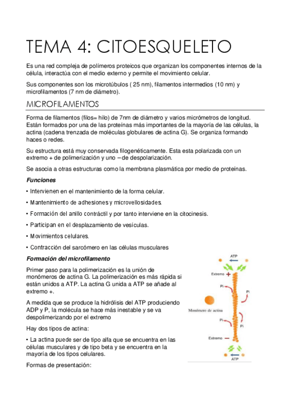 Miniatura del documento TEMA-4.pdf