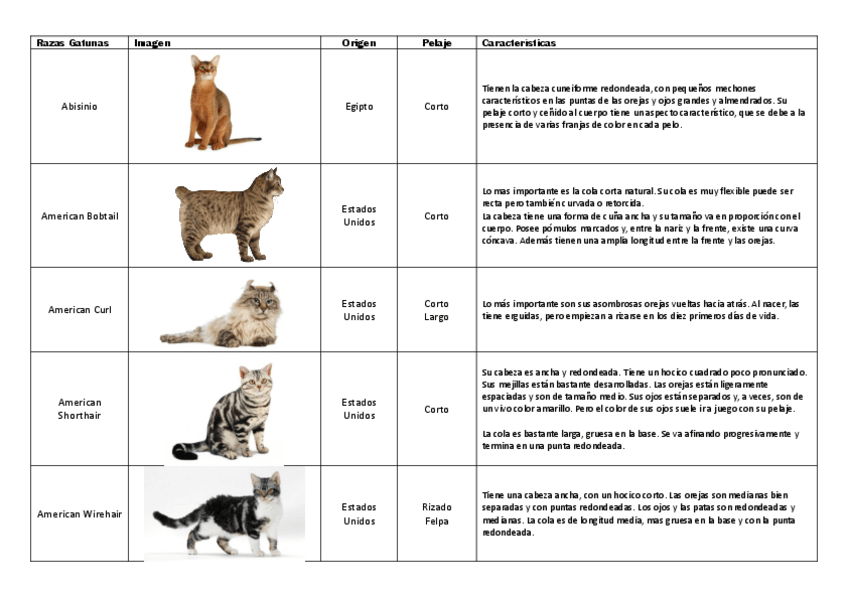 Miniatura del documento Etnologia-Comparada-Gatos.pdf