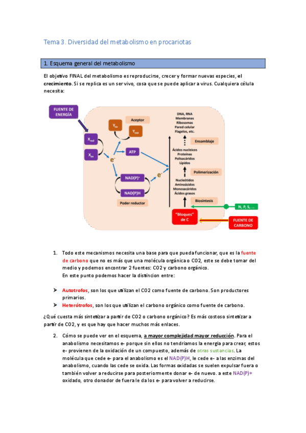 Miniatura del documento Resumen-T3-Metabolismo-procariotas.pdf