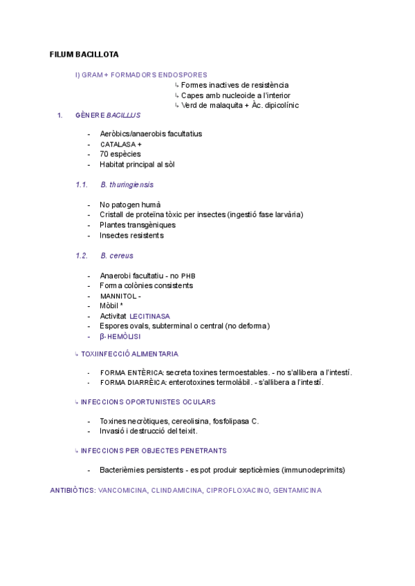 Miniatura del documento MICRO-II-parcial-2-resumit.pdf