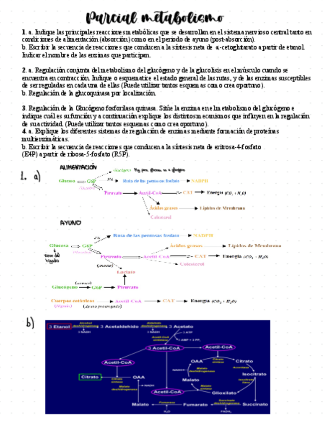 Miniatura del documento Parcial-Metabolismo-resuelto.pdf